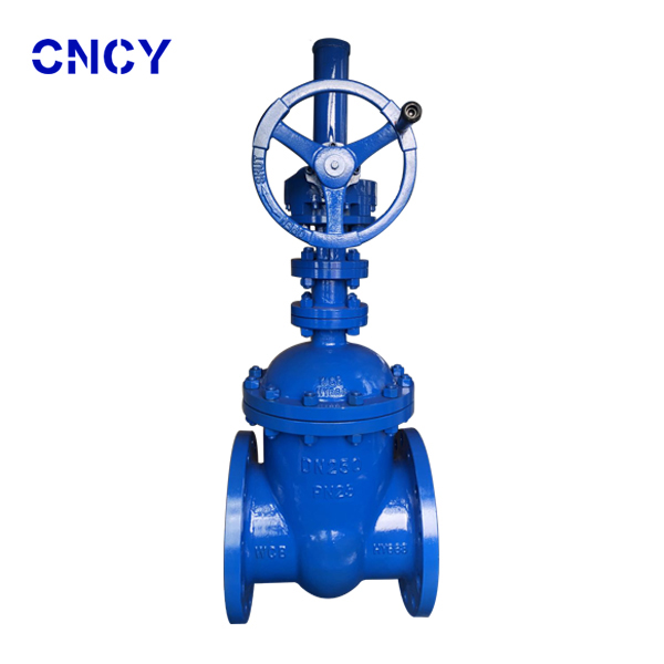 德標暗桿閘閥Z545H-25C